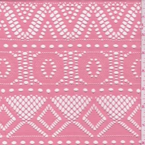 3 YD PC-Melon Pink Stripe Mesh Lace Fabric