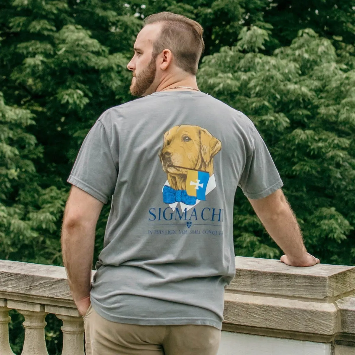 Comfort Colors Retriever Flag Tee