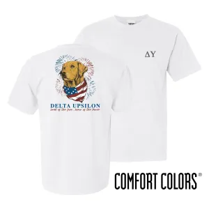 Delta Upsilon Comfort Colors USA Retriever Tee