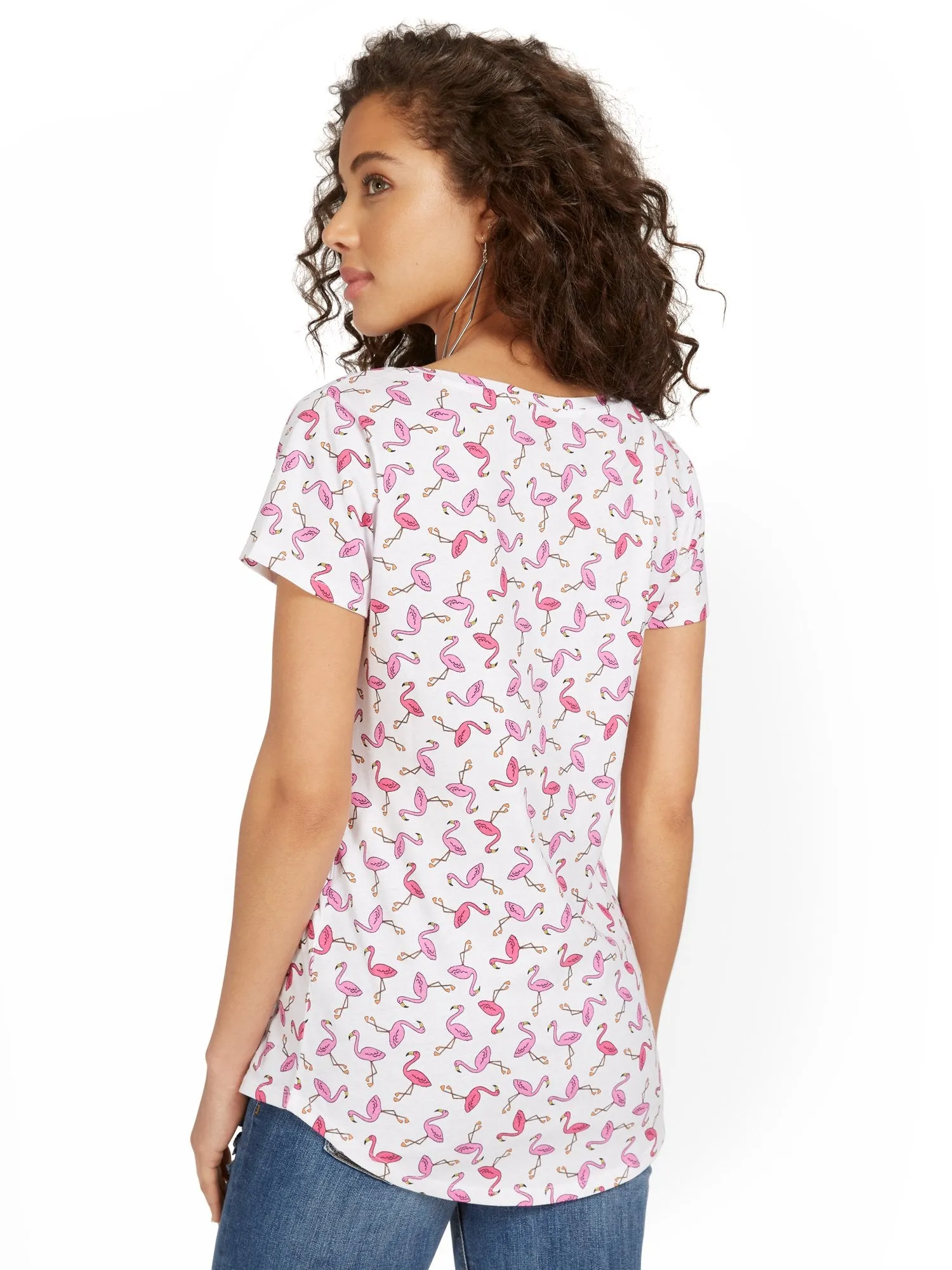 Flamingo V-Neck Perfect Tee