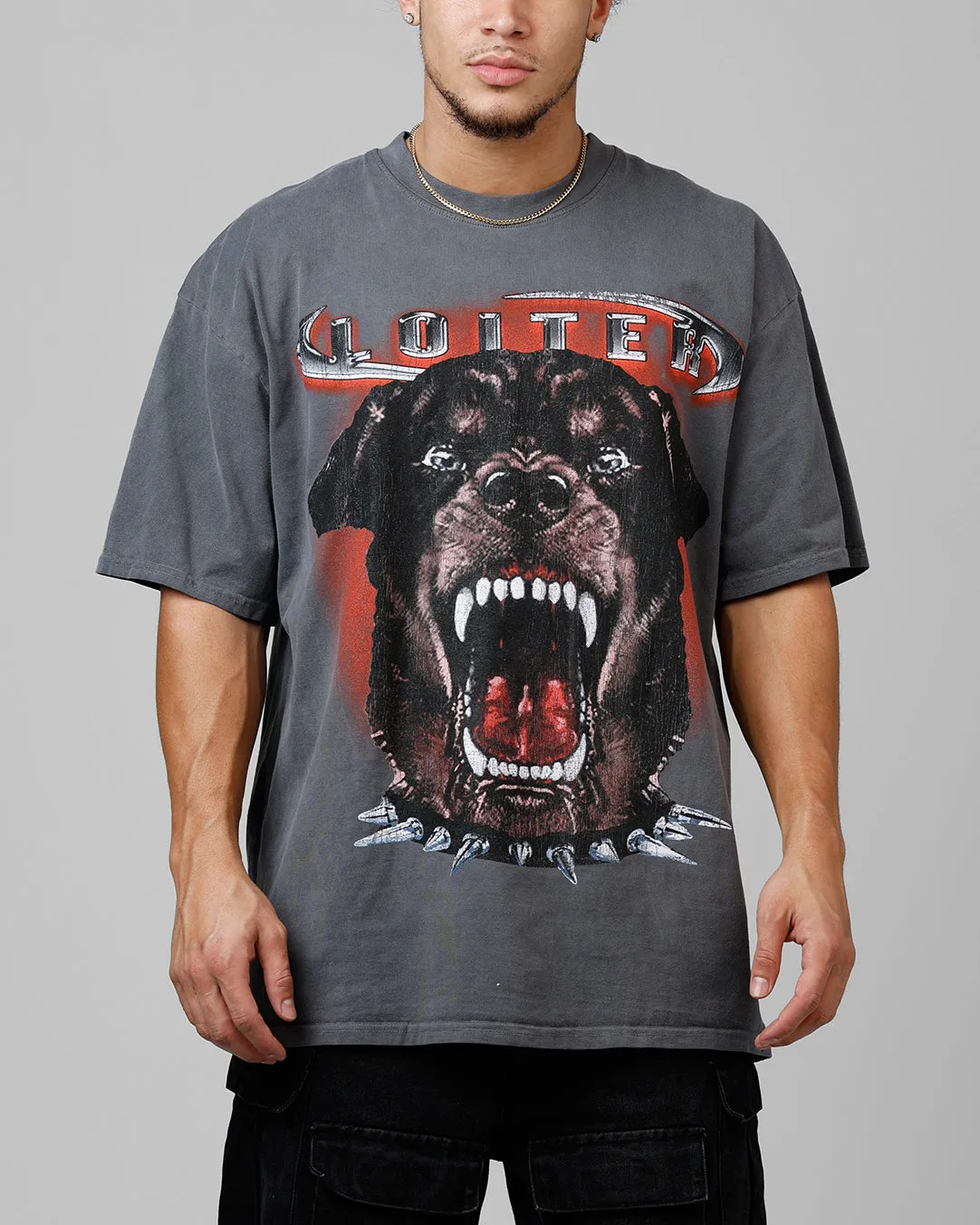 Loiter Dog House Vintage T-Shirt Charcoal